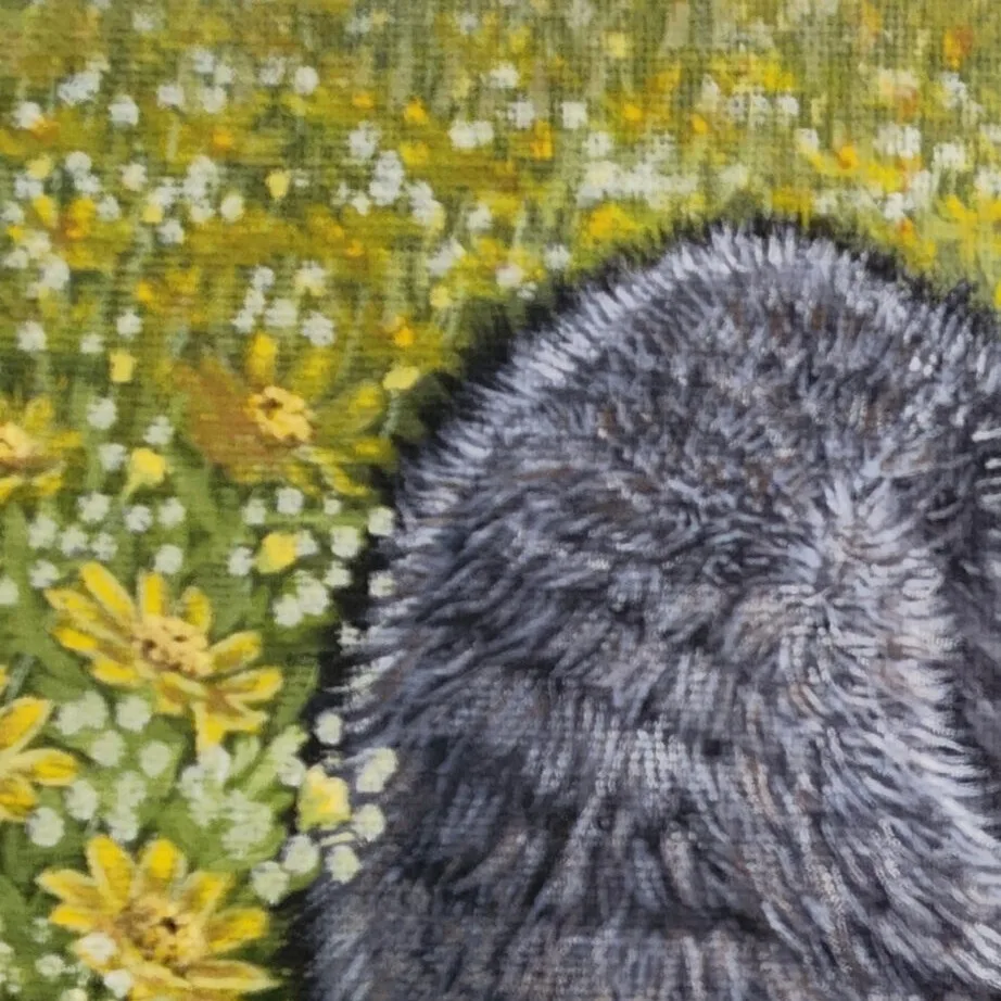 A Raccoon's Daydream — closeup 3