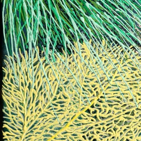 Coral Symphony 2 — closeup 1