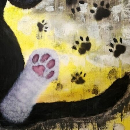 Tuxedo Cat — closeup 1