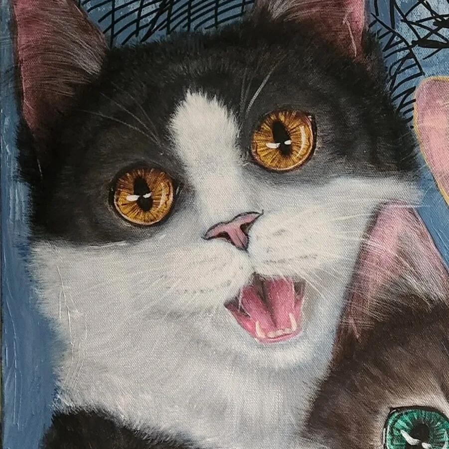 We-fie Cats — closeup 3
