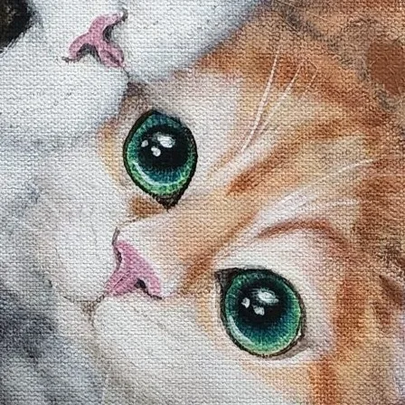 Mochi Cats l — closeup 1