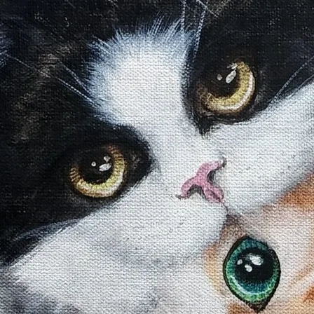 Mochi Cats l — closeup 2