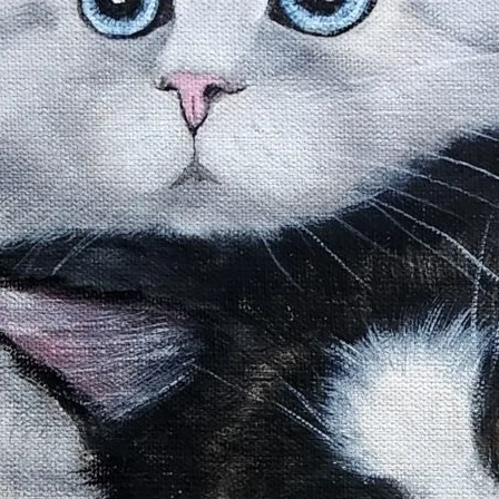 Mochi Cats l — closeup 3