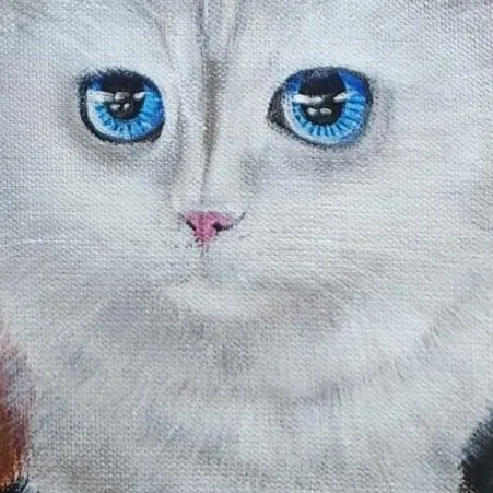 Mochi Cat ll — closeup 1