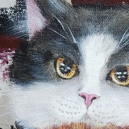 Mochi Cat ll — closeup 2