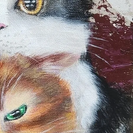 Mochi Cat ll — closeup 3