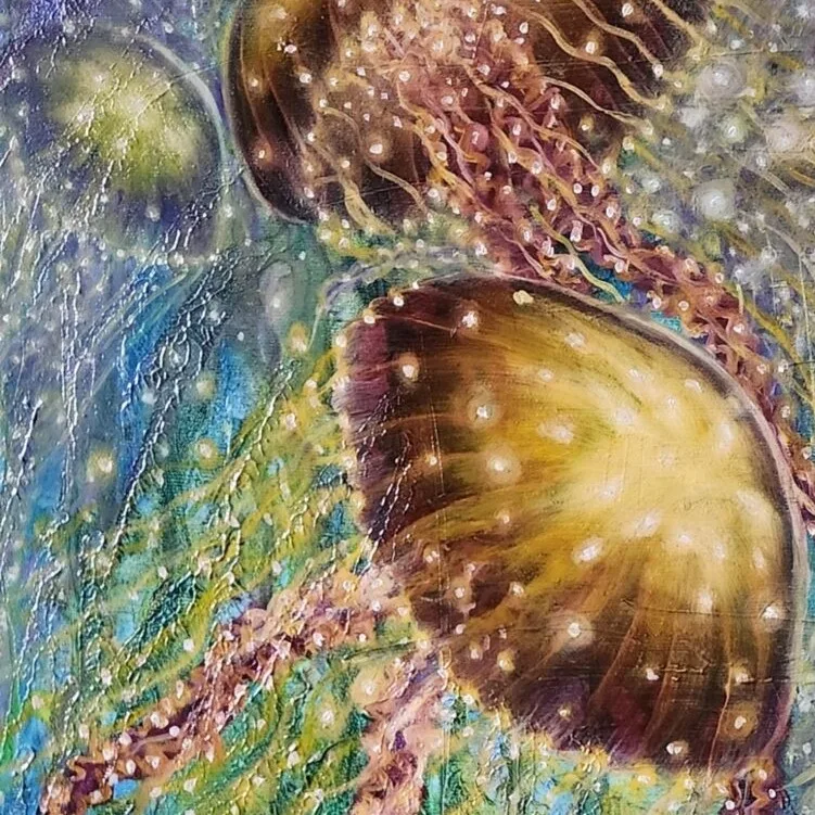 Jelly Fish — closeup 3