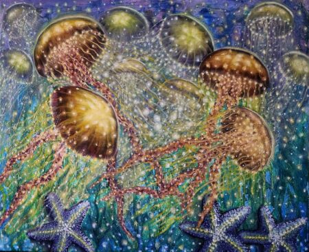 Jelly Fish