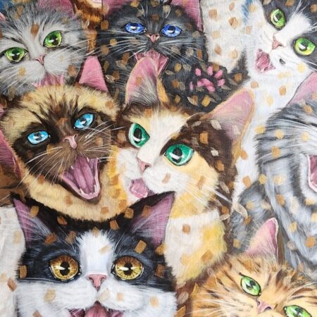 We-fie Cats - Say Cheese — closeup 1