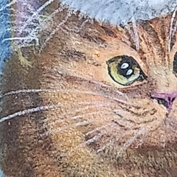 Mini Mochi Cats - Stacked Curiosity — closeup 2