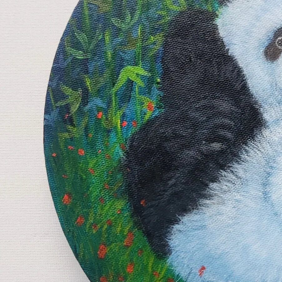 Panda Daydreams 1 - Playful Panda — closeup 1